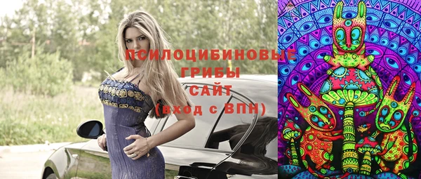 гашик Балабаново