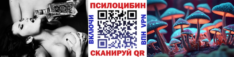 Галлюциногенные грибы прущие грибы  Купить где  Жиздра 
