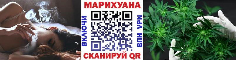 Шишки марихуана OG Kush  Купить где  Жиздра 